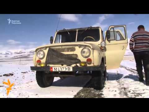 Видео: Аязды тоготпогон тоолуктар