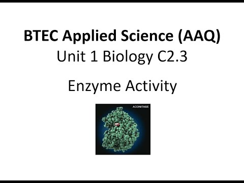 Видео: BTEC Прикладная наука, Модуль 1, Биология, C2.3 Активность ферментов