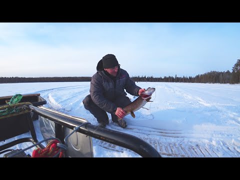 Видео: 🏕С Батей на Кордон.Пять Дней в Лесу.Щуки на Самоловки.Коптим Рыбу.Баня В Лесу.Часть2