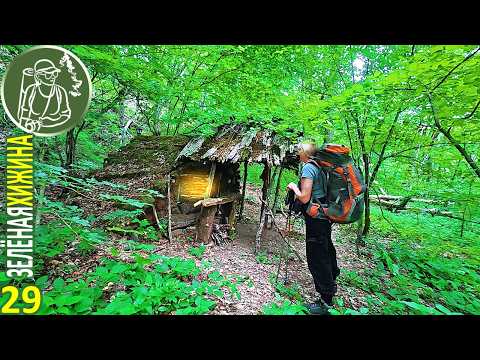 Видео: Одна в лесу в Зеленой Хижине