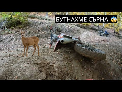 Видео: ОТИВАМ НА СЪД!!!!😰😰😰 ГОРСКИТЕ МЕ ГОНЯТ ПО ПЪТЕКИТЕ!!!