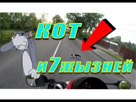 Видео: Вечернии покатушки #1 с друзьями/Кот и 7 жизней, часть 1/2