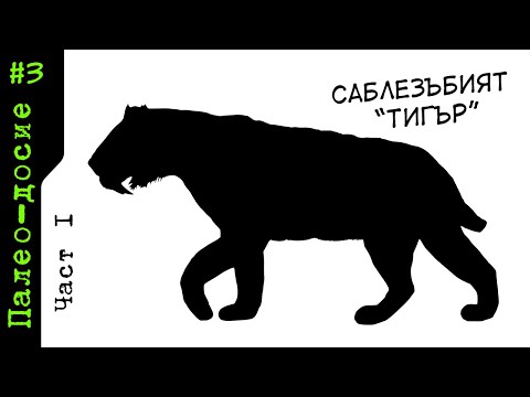 Видео: ПАЛЕО-ДОСИЕ: Смилодон (Част I)
