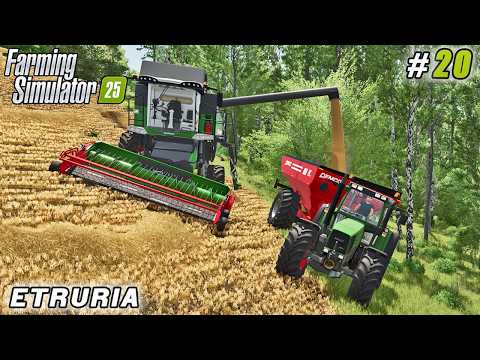 Видео: Сбор пшеницы на холмах, сбор тюков соломы для компоста | FS 25 | Ферма Этрурия | Таймлапс №20