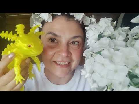 Видео: АСМР 🌸 Покажу очень много чудесных 3 д игрушек и просто поговорим 🧚 Тихий голос 🦄