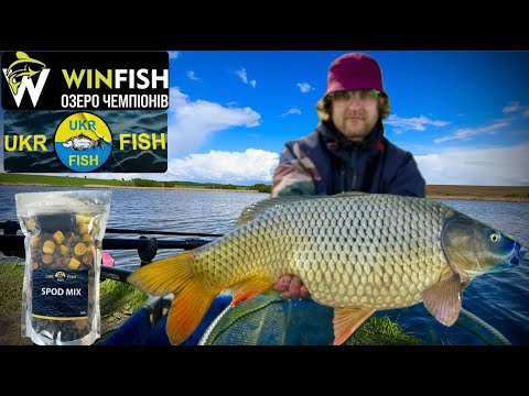 Видео: КАРПФІШИНГ НА ВОДОЙМІ WINFISH