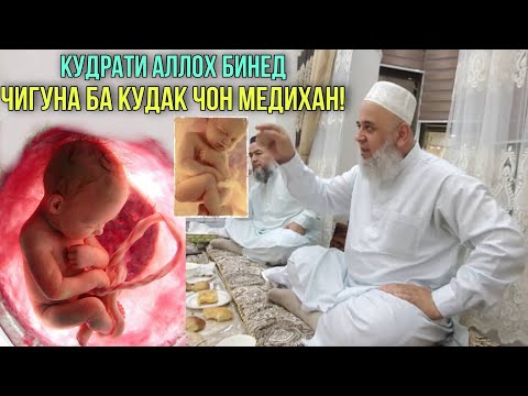Видео: Хочи Мирзо Кудрати Аллоха Бинед Чигуна ба Кудак Нав зой чон Медихан 2021