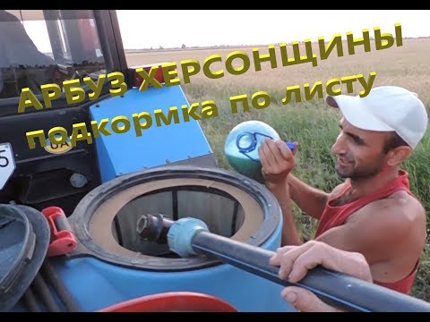 Видео: #5 Листовая Подкормка Арбуза. Борьба с Вредителями и Опыление. 2019