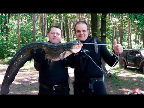 Видео: Подводная охота с трофеями и шикарный отдых с друзьями