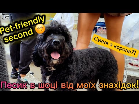 Видео: Секонд: пакет речей на 90 грн 🎀 Останній день, набрала зайвого чи знайшла скарби? Сукня з коропа⁉️