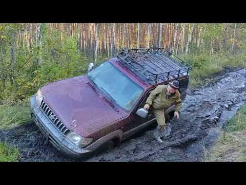 Видео: Hyundai Galloper и Land Cruiser