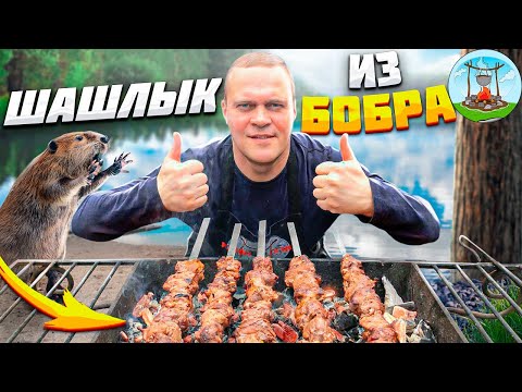 Видео: ШАШЛЫК ИЗ МЯСА БОБРА !!!  COOKING BEAVOR MEAT !!!