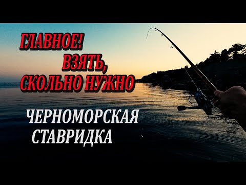 Видео: Рыбалка на Черном Море. Ловля Ставриды на Самодур с Берега.