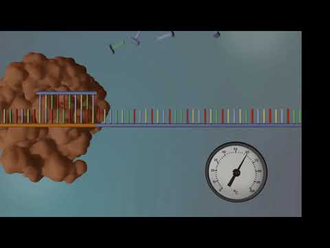 Видео: А.Н.Русакович "Секвенирование по Сенгеру..."/A.N.Rusakovich ”Sanger sequencing...”
