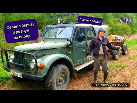 Видео: Свалил берёзу и поехал на парад 9 мая в Мядель.