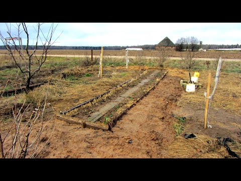 Видео: Как я делаю теплые грядки.