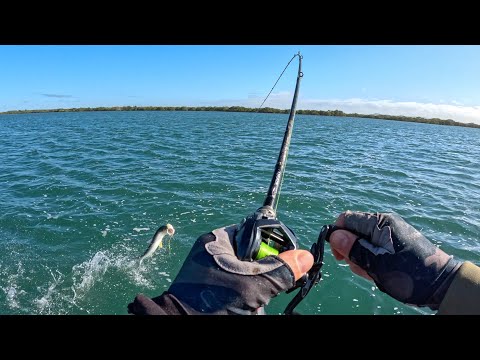 Видео: Исследуем Голд-Кост-Бродуотер!