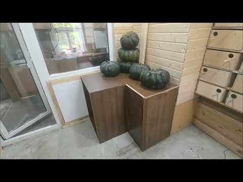 Видео: Разведение волнистых попугаев.Итоги лета 2025 г.