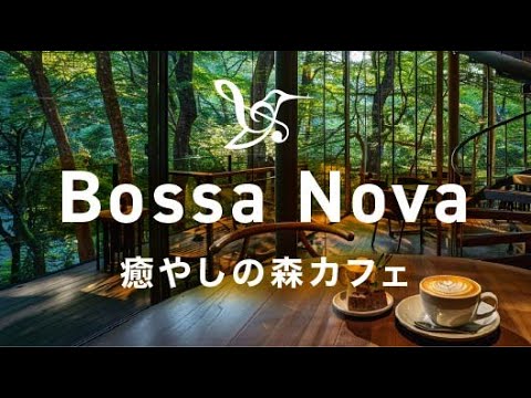 Видео: Нега босса-новы в живописном лесном кафе 🌿 Утренняя музыка для концентрации ☕️ #HummingBirdChill