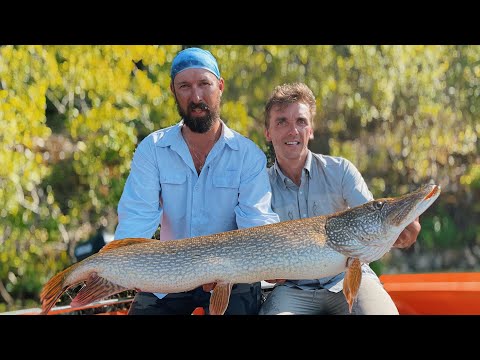 Видео: ПОЙМАЛИ КАЗАНСКОГО МОНСТРА! Отборы в PAL 2021. Пётр Денисов, Вячеслав Юрганов. 4K