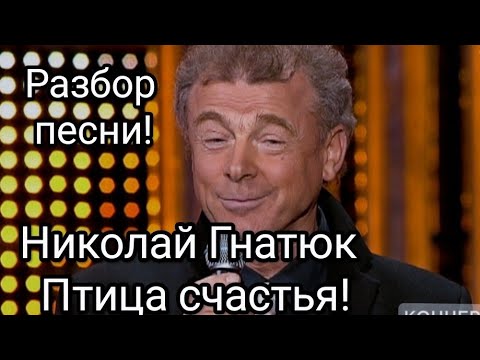 Видео: Птица счастья! Разбор песни!