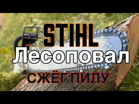 Видео: Stihl ,лесоповал ,сжёг пилу