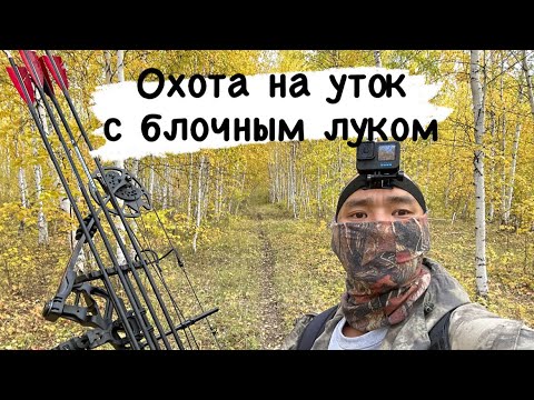 Видео: БЛОЧНЫЙ ЛУК. ОСЕННИЙ СЕЗОН ОХОТЫ НА УТОК В ЯКУТИИ