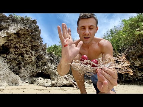 Видео: Выживание на необитаемом острове. Ем кактусы в пещере. №4