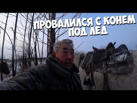 Видео: Провалился с конем под лед! Промысел в одиночку!