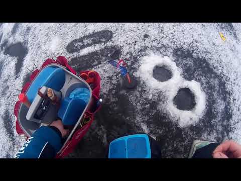 Видео: Соревнования  Оз  в дер  Чемоданы