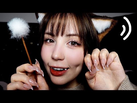 Видео: ASMR Ваша кошка усыпляет вас 🐱