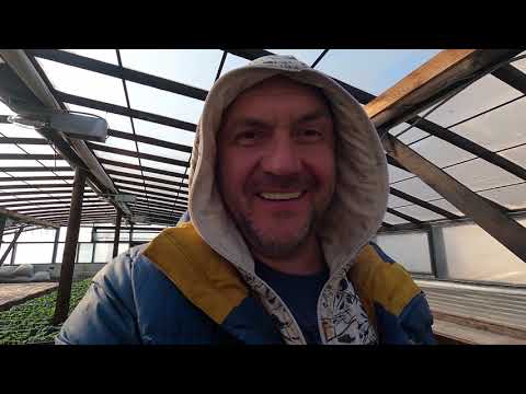 Видео: По секрету всему свету