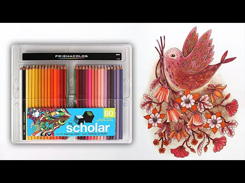 Видео: Мои любимые цветные карандаши. Prismacolor Scholar.
