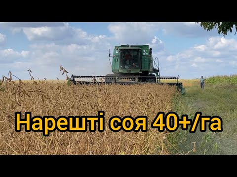 Видео: Соя Канзас 40+/га. 2023р.