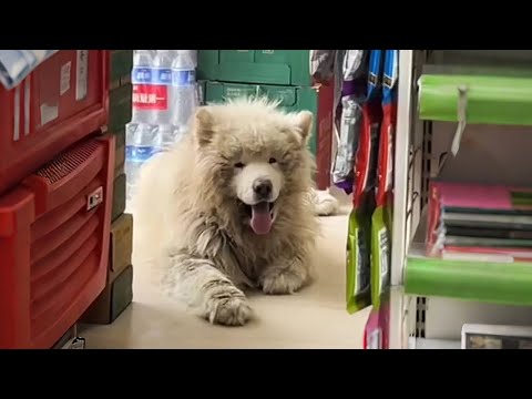 Видео: «Если вернёшься снова, я тебя заберу!»