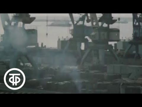 Видео: Северный морской путь (1984)