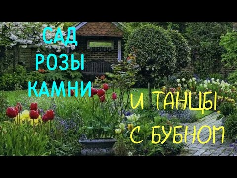 Видео: В САДУ РАБОТЫ МНОГО. КОГДА  ВСЕ УСПЕТЬ?