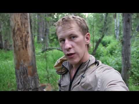 Видео: 1/2. Белогорск - Парная. Поход, тайга, вламывание, Урюп, Береш, Ничкурюп.