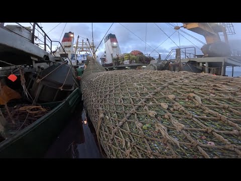 Видео: Как происходит выборка трала 180 ТОНН на русском супер траулере —  эксклюзивная съемка от 1-го лица