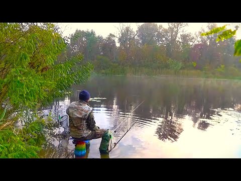 Видео: Як ловити по холодній воді Рибалка на поплавок