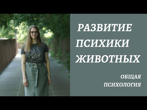 Видео: Уровни развития ПСИХИКИ и ПОВЕДЕНИЯ у животных