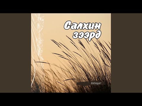 Видео: Салхин зээрд
