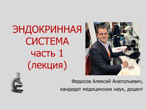 Видео: ЭНДОКРИННАЯ СИСТЕМА ЧАСТЬ 1 (ЛЕКЦИЯ ПО ГИСТОЛОГИИ)