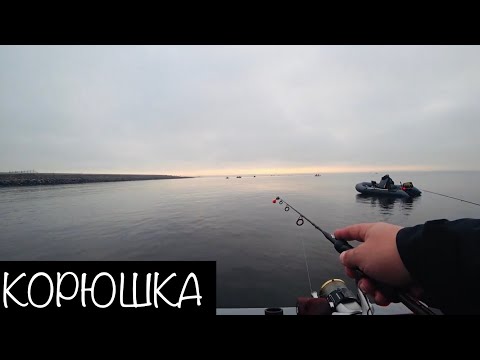 Видео: Ловля Корюшки с лодки. Финский Залив. Осень 2019