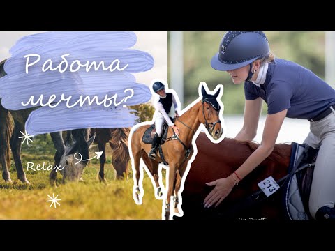Видео: РАБОТА МЕЧТЫ КАЖДОГО КОННИКА??? | EquiNika