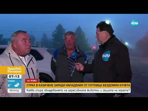 Видео: Напрежение в Казичене заради глутница бездомни кучета, нападащи хора и животни