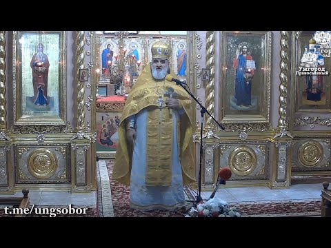 Видео: Канонічна УПЦ є єдина гарантія духовної беспеки нації.26.10.2024, прот. Димитрій Сидор