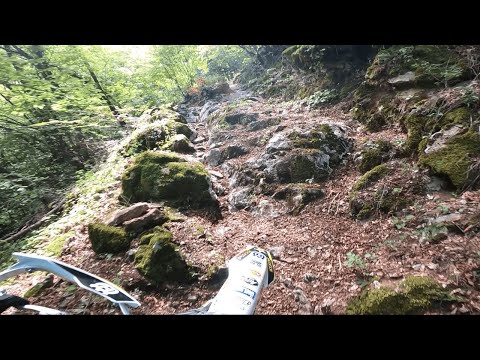 Видео: 07.09.2025 г.