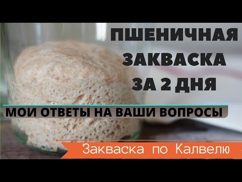 Видео: Ответы на комментарии к видео - САМАЯ БЫСТРАЯ ПШЕНИЧНАЯ ЗАКВАСКА по Калвелю за 2,5 дня или 60 часов