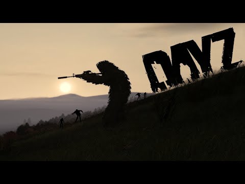 Видео: #dayz The Illusion of life PVE BOTS 2 Роботы ?! в поисках люлей!)